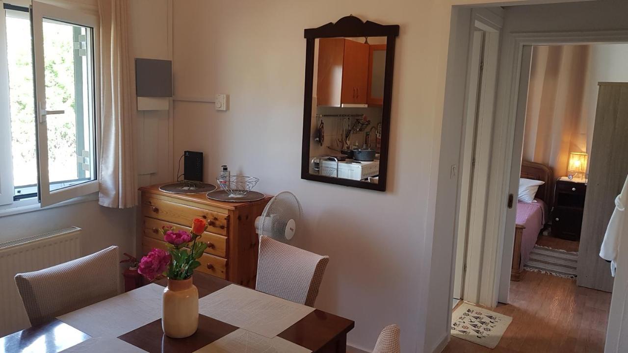 Olga'S Cozy Nest , Apartment In Ano Korakiana. Rom bilde