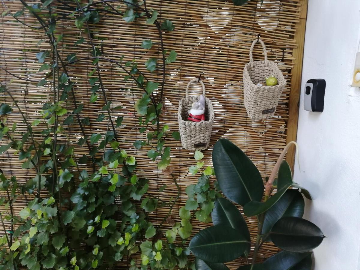 Olga'S Cozy Nest , Apartment In Ano Korakiana. Eksteriør bilde