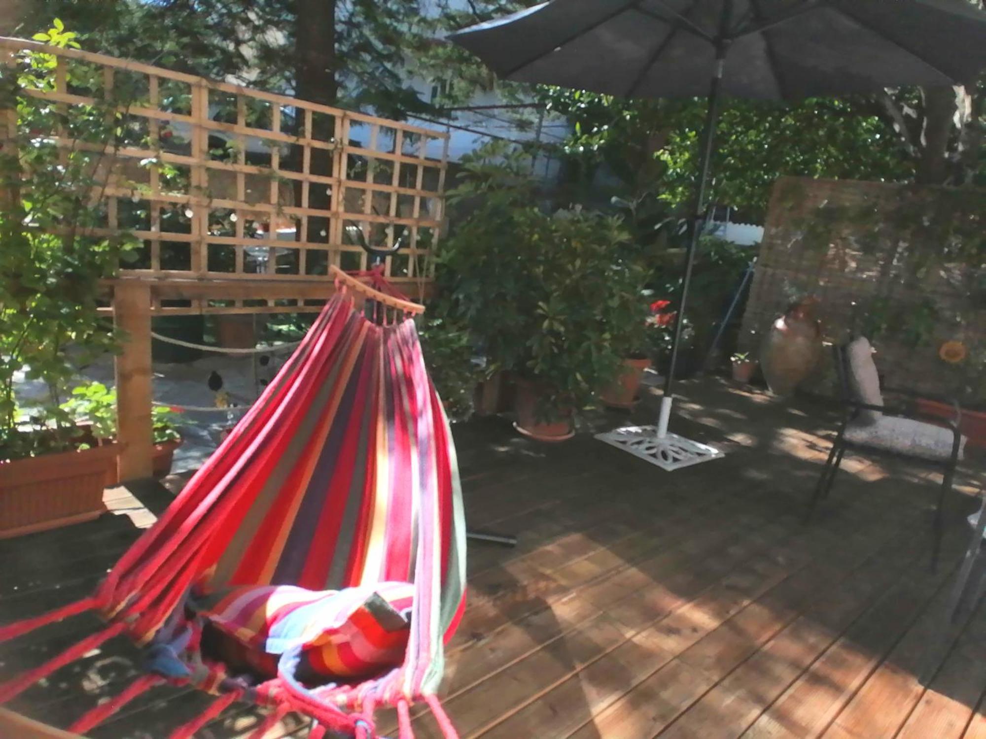 Olga'S Cozy Nest , Apartment In Ano Korakiana. Eksteriør bilde